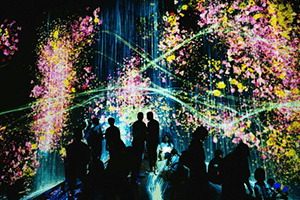 TeamLab Planets Digital Art 